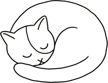 Topo the cat sleeping